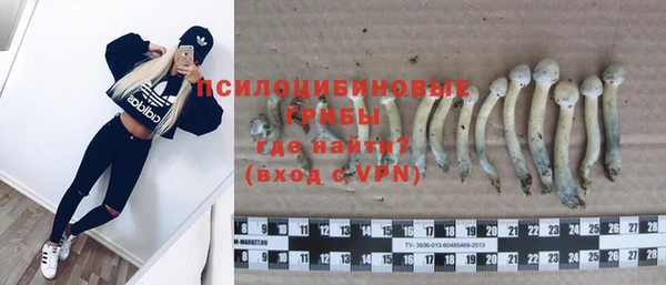 эйфоретик Дмитровск