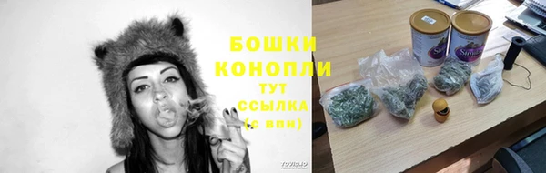 spice Дмитриев