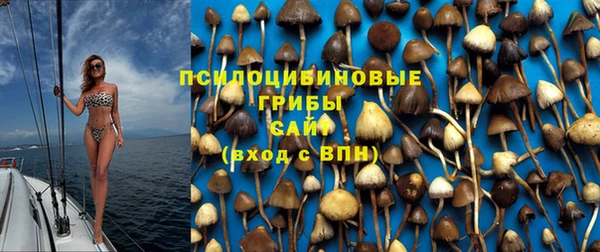 spice Дмитриев