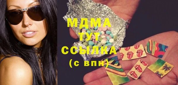 spice Дмитриев