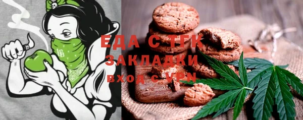 spice Дмитриев
