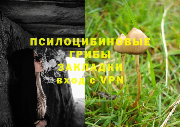 каннабис Дмитров