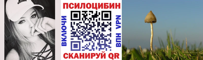 KRAKEN ССЫЛКА  Пущино  Псилоцибиновые грибы Magic Shrooms 