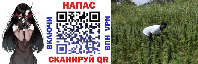 МАРИХУАНА конопля  купить закладку  Пущино 